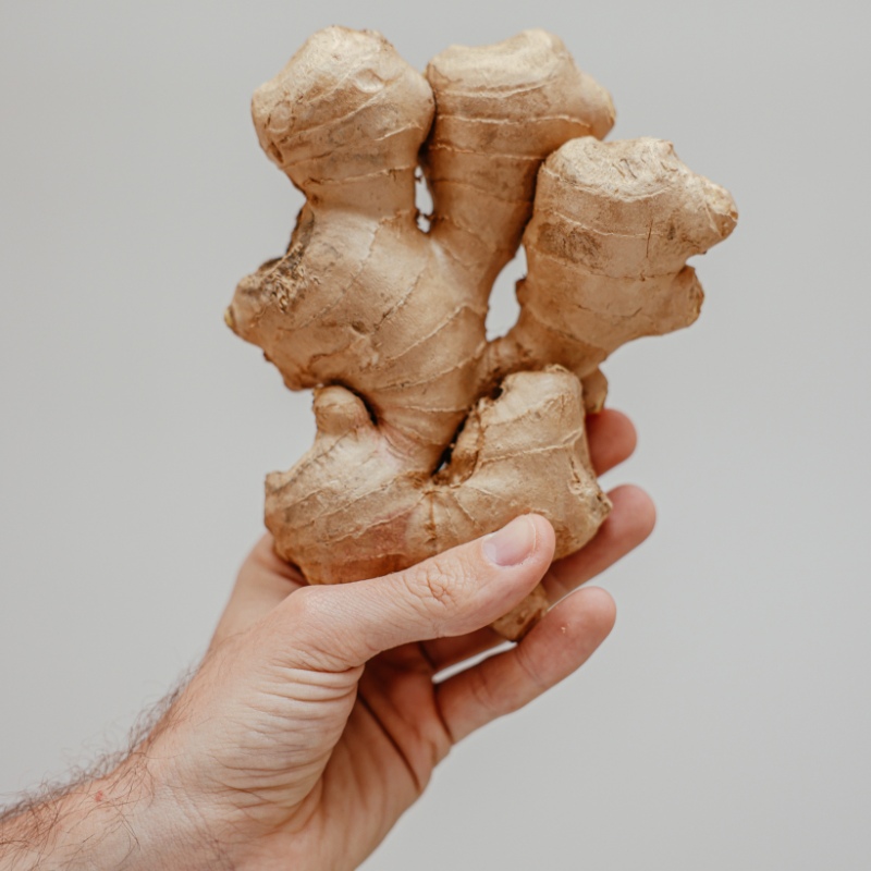 someone holding ginger